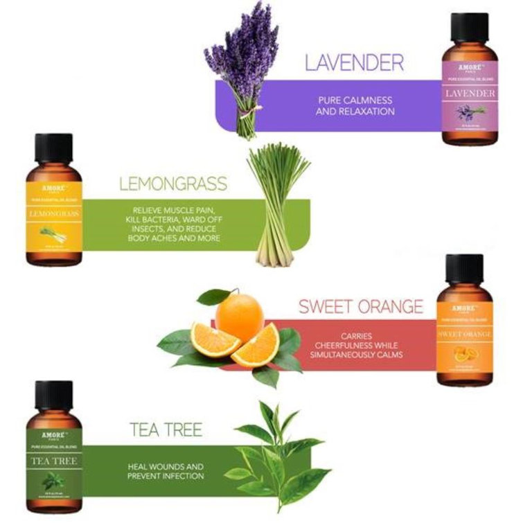 Tagco Aromatherapy 100 Pure Therapeutic 6 Piece HighGrade Essential Oil Set & Reviews Wayfair